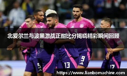 北爱尔兰与波黑激战正酣比分揭晓精彩瞬间回顾