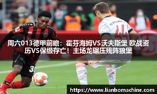 周六013德甲前瞻：霍芬海姆VS沃夫斯堡 欧战资历VS保级存亡！主场龙碾压残阵狼堡